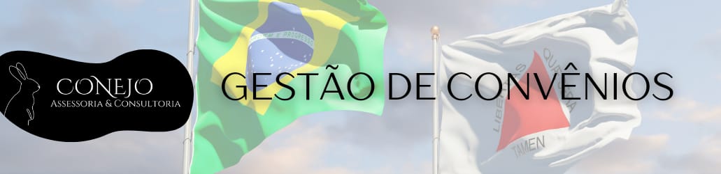 Gestão Convênios.jpeg